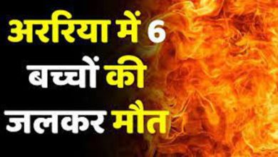 bihar 6 children burnt alive due to fire in pile of straw