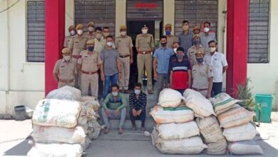 Hemp Smuggling in Jhalawar