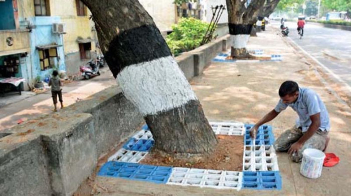 Roots of trees will be free from cement concrete